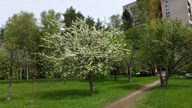 20150524_140537.jpg