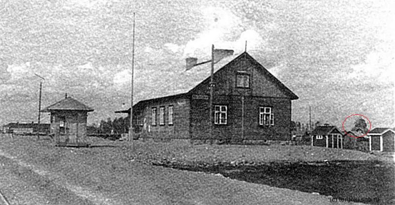 Pollakkala_193x_10-3.jpg