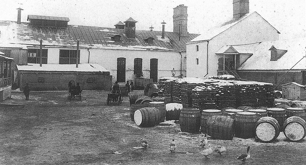 Вейнеровский пивоваренный завод 1890-е гг..jpg