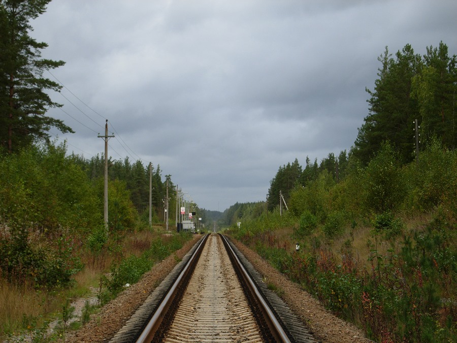 Яппиля_Вид в сторону Куолемаярви.jpg