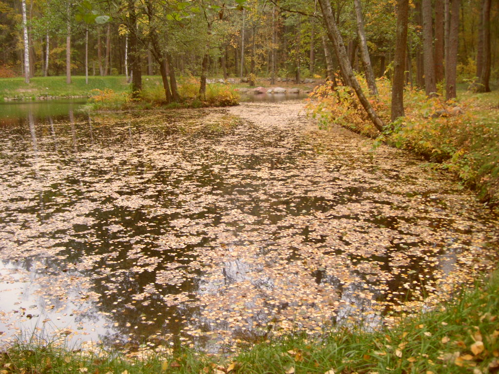 четвертый пруд Виллы. Осень 2010г.