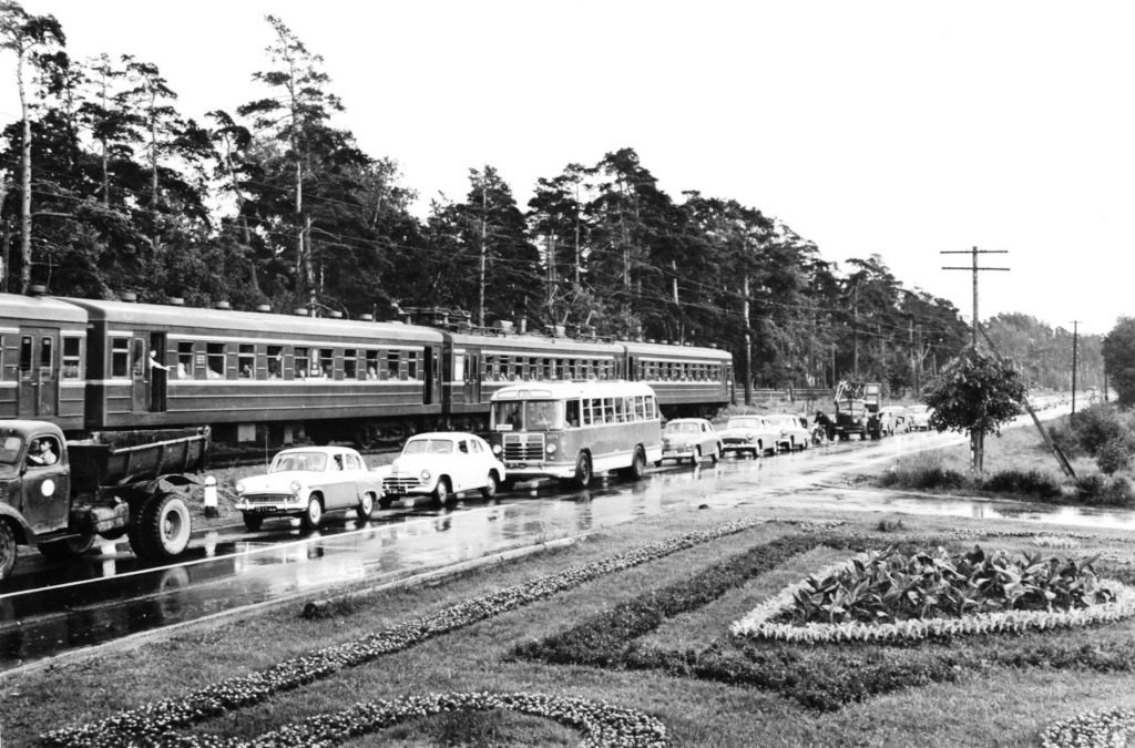 Красивая фотография. 1962 год. Сестрорец.