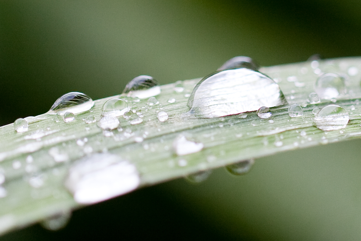 droplets-2.jpg