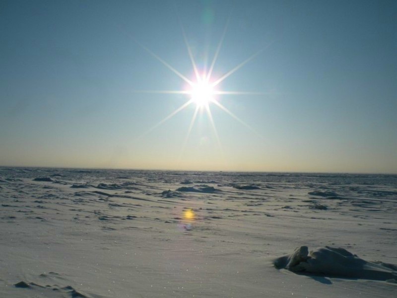 Мариоки- 15-зимнее солнце.jpg