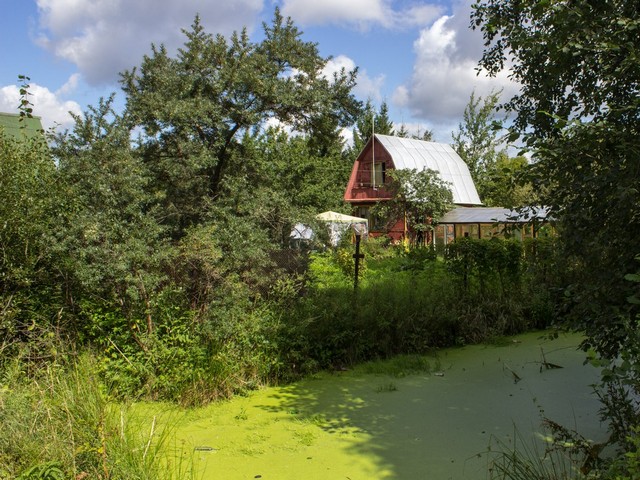 Это болотко пожарным водоёмом кличут