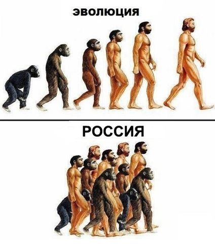 эволюция.jpg