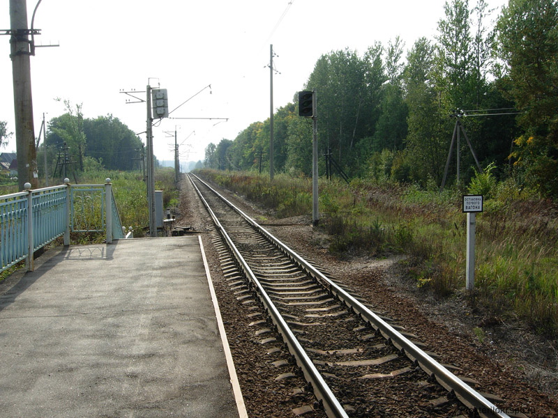 ��� � ��������� ��������� � ������� �����-����������, 2010 �. ���� �. ���������