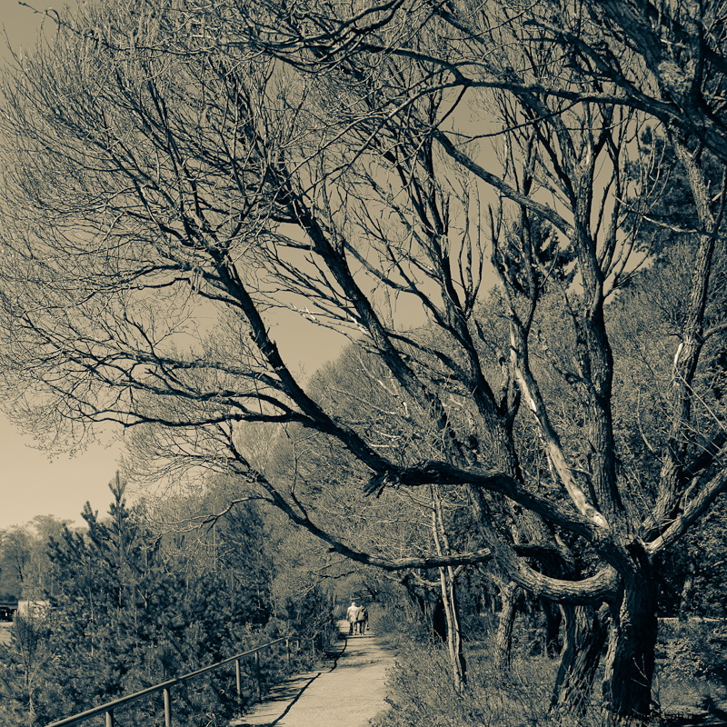 ABR_0005.jpg