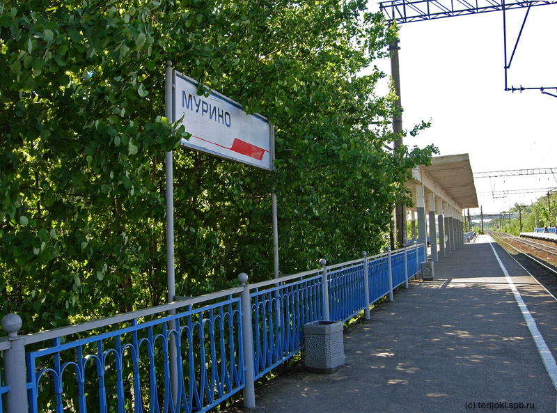 ������. ��������� № 1. ����: �. ��ң����, 28.05.2012 �.
