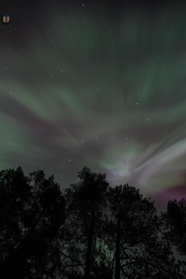 Северное сияние над Зеленогорском, ночь 18.03.2015 .Фото А. Шейниса