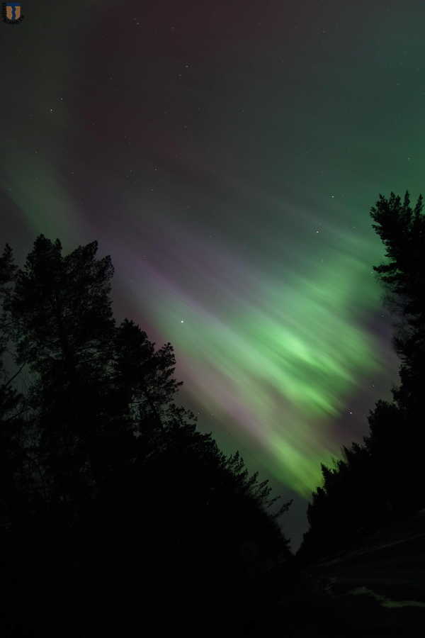 Северное сияние над Зеленогорском, ночь 18.03.2015 .Фото А. Шейниса