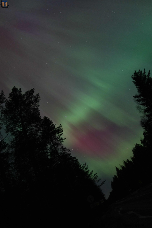Северное сияние над Зеленогорском, ночь 18.03.2015 .Фото А. Шейниса