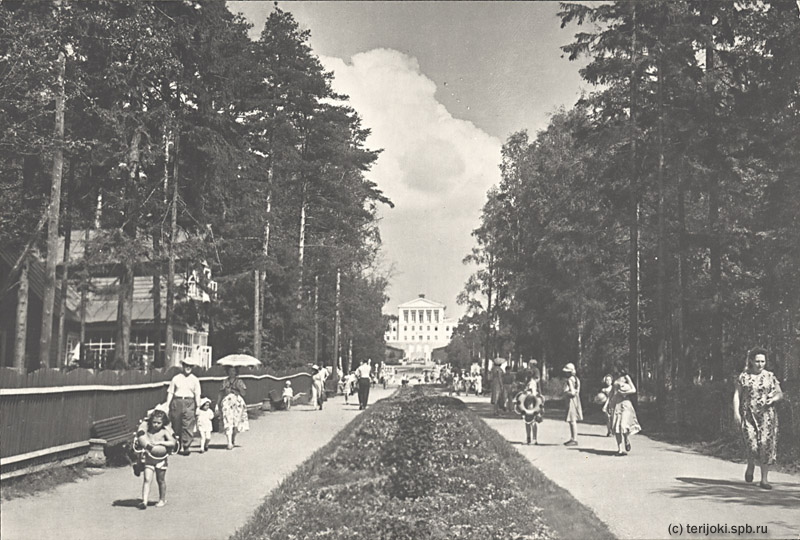 Главная аллея в парке.