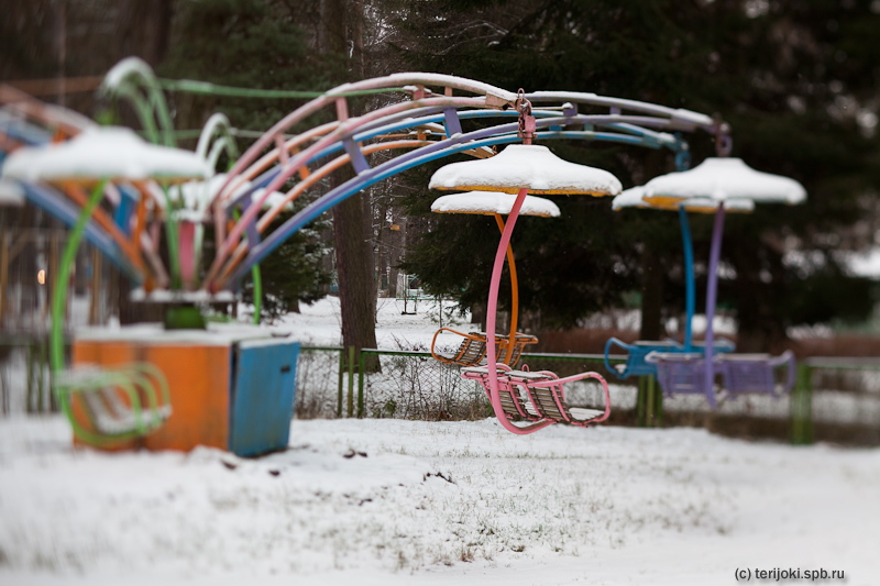 _MG_6964.jpg