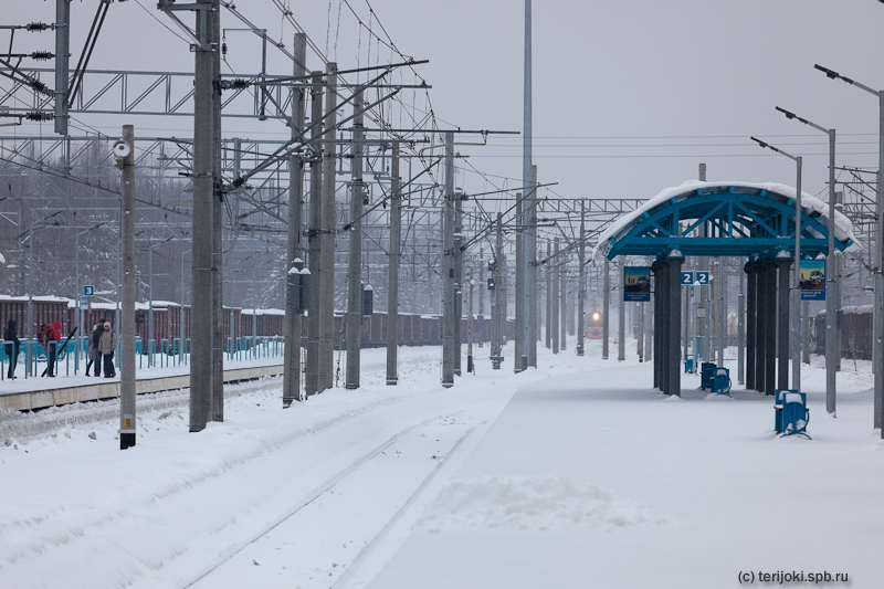 Зеленогорск. Новые пригородные электропоезда