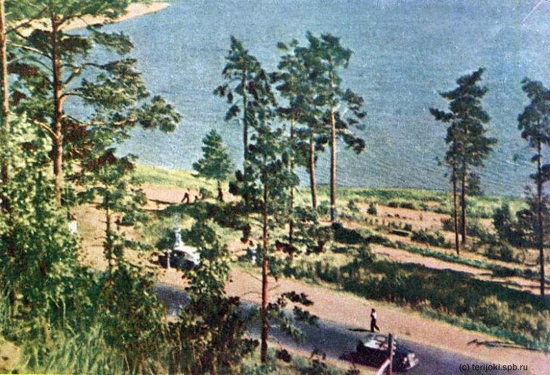 Ленинградская здравница (Зеленогорск), 1949 г.