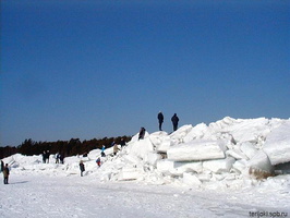 38. Март 2002 г. Финский залив. Торосы.