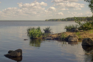 58. Берег Разлива. Сестрорецк.