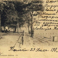 sr_Terijoki_Kuban_1903-03b