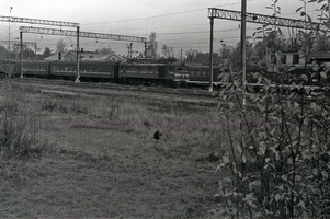 Sosnovo_1989-07