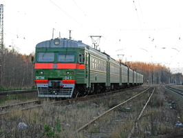 dv_Vaskelovo_2009-01