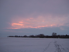 2007 0303Image0182