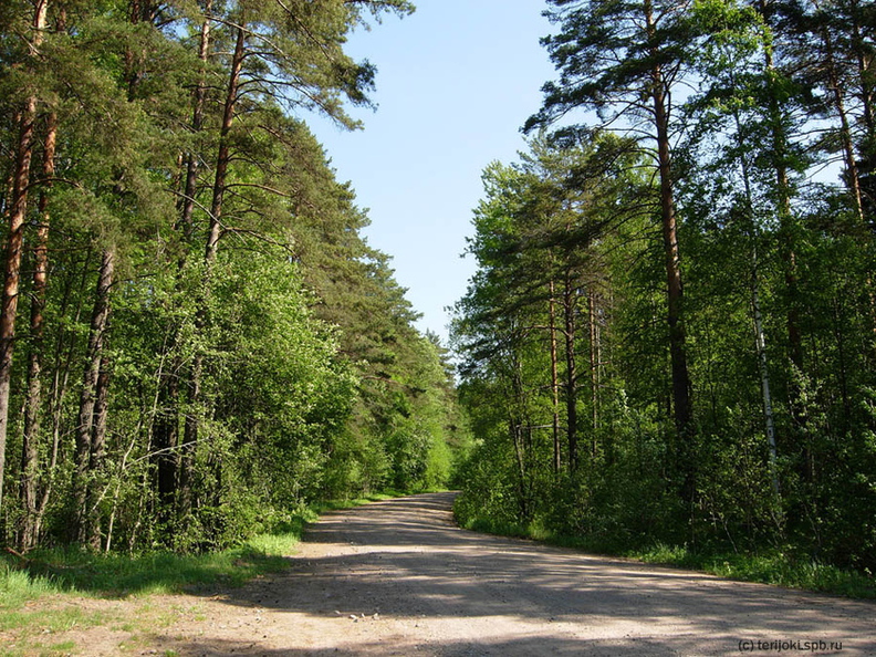 Ermilovo-Kuolemajarvi-10.jpg