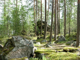 Karisalmi-18.jpg