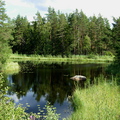 Karisalmi-7.jpg