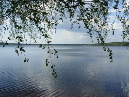 Leninskoe-Krasavitsa-18.jpg