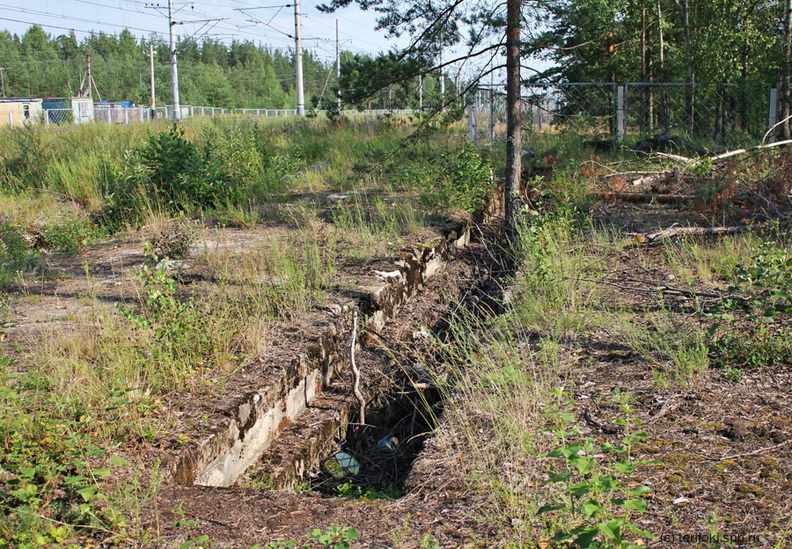 am_Kirillovskoe_2011-01.jpg