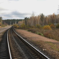 am Nikiforovskoe 2011 10 09