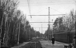 1982 11 21 фото26 Тарховка Вид в сторону Сестрорецка