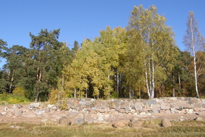 берег Уотинена. каменная стенка дачи Кирхнера 2010г.