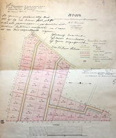 map Beloostrov Olkhina 1905
