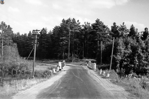 oitru Сестрорецк старая трасса Приморского шоссе 195х-01