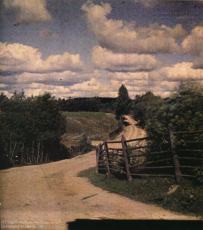 Проселочная дорога в окрестностях Ваммельсуу. Фотография Л. Андреева, 1910 г.