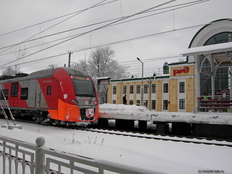 Зеленогорск, 02.12.2016 г. Фото Д. Ю. Верёвкина