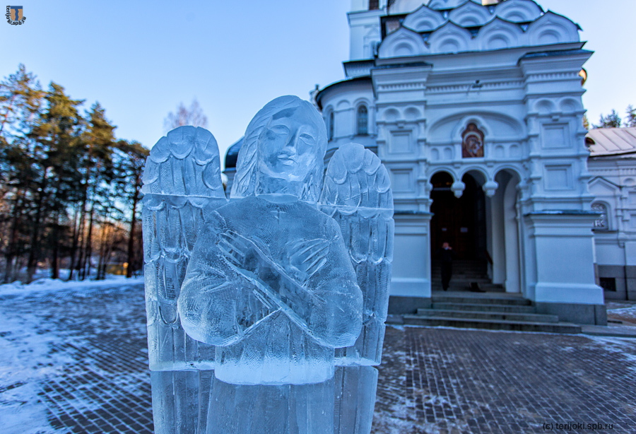 Фото А. Браво, 06.01.2017 г.