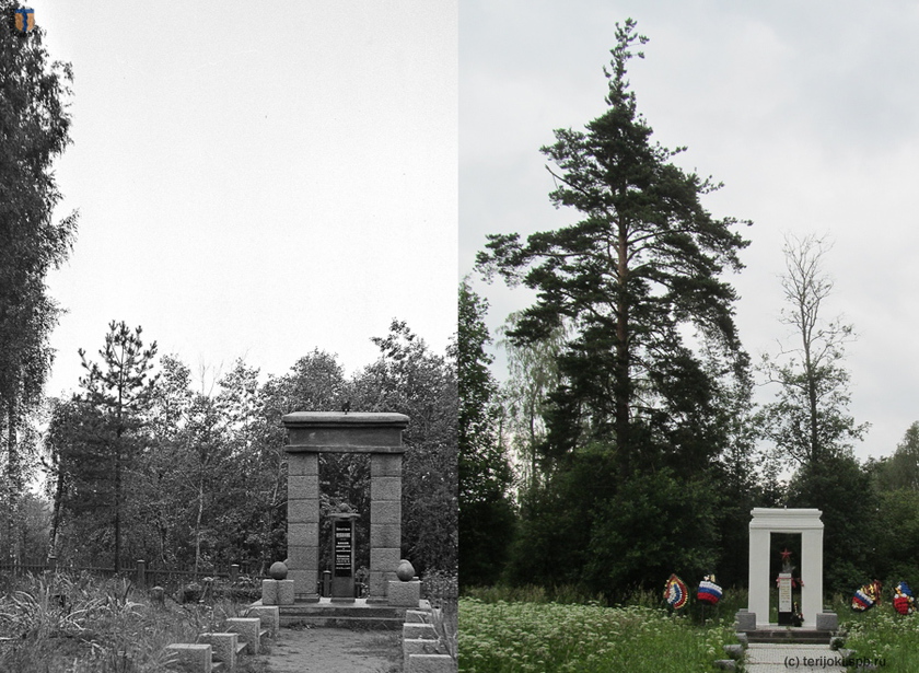 Сосна, стоящая возле памятника. Слева фрагмент снимка с сайта sa-kuva.fi,  13.09.1941 г., справа фото В.Патрунова, 25.06.2016 г.