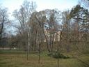 trk071100-5a.jpg