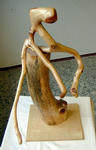 zpics2002-28.jpg