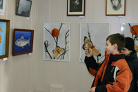 zelart12_051029-43.jpg