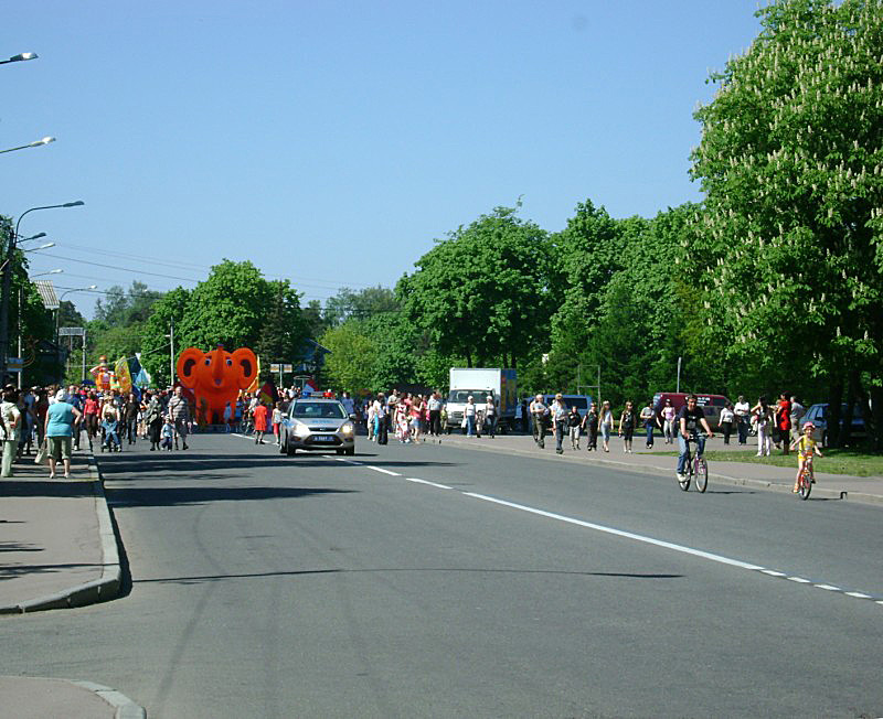 DSC03854 (800 x 652).jpg