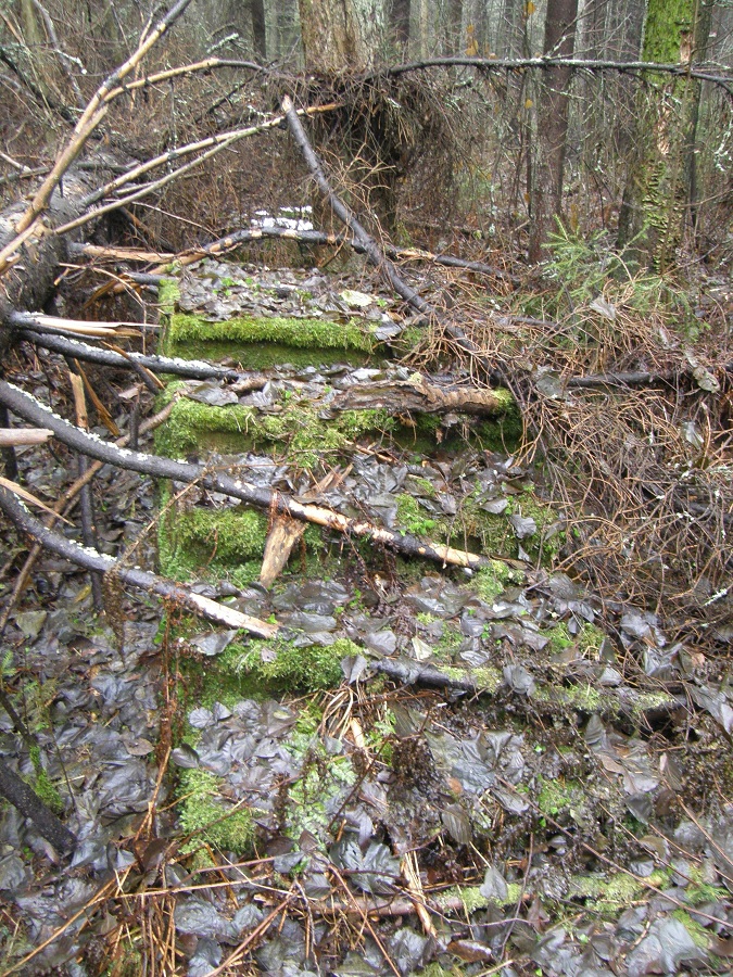 уч. К.К.Шмидта лестница 2009.JPG