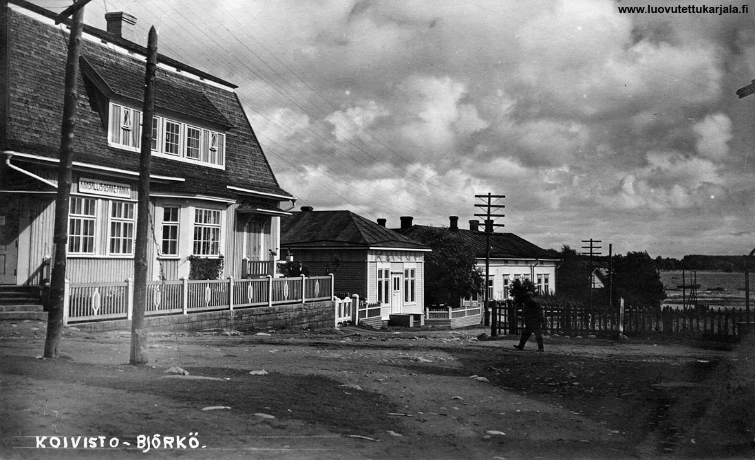 Koivisto_5.jpg