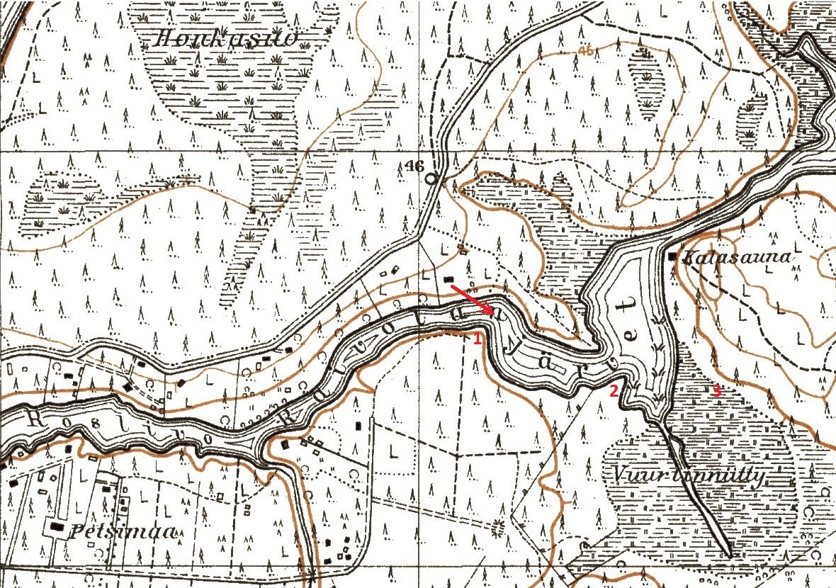 вид из виллы Ториниекка.jpg