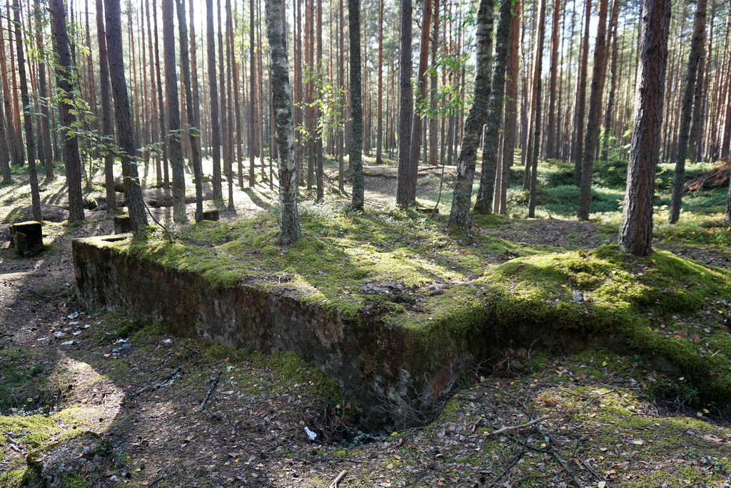 DSC00836.JPG