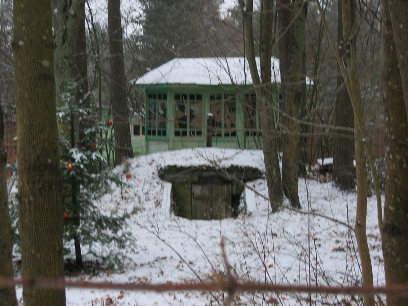 Погреб Дом № 11