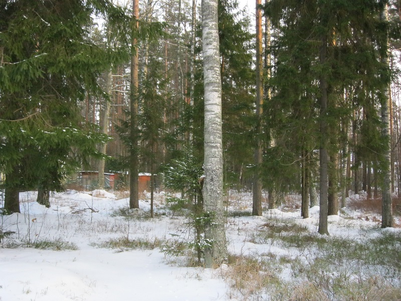 Был №2..года два назад снесли.